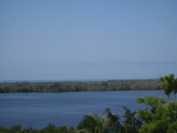 category Image